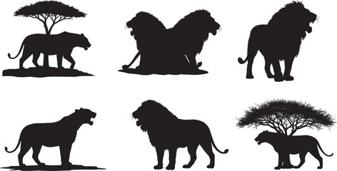 Lion silhouette collection, walking lion, sitting lion, roaring lion, tree scene, grooming lions, African wildlife, majestic poses, black vector animal illustration