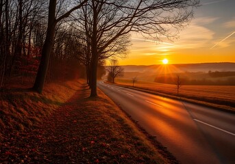 Golden sunset road through trees