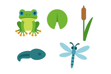 Vibrant cartoon frog, tadpole, dragonfly, lily pad, and cattail depicting diverse freshwater pond life ecosystem