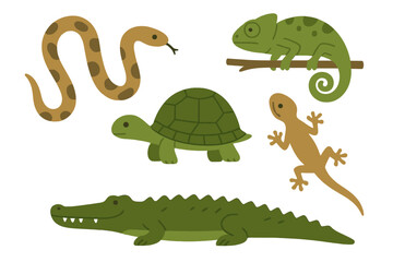 Collection of various cartoon reptiles including snake, turtle, chameleon, gecko, and alligator on white background