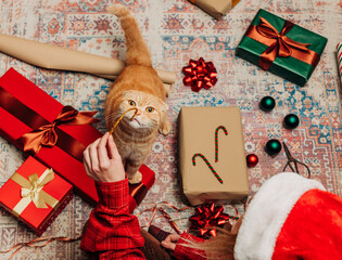 woman sits on cozy rug with boxes, busily wrapping Christmas presents, near ginger cat