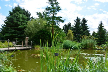 A beautifully landscaped garden pond with a rustic wooden pier, surrounded by lush reeds, cattails, and tall evergreen trees