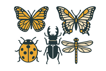 Diverse collection of common insect species featuring colorful butterflies, a ladybug, a stag beetle, and a dragonfly