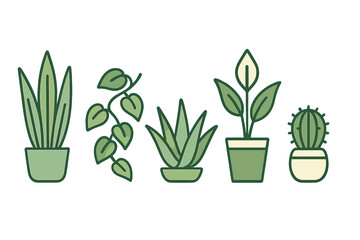 Potted green houseplants collection for interior design, featuring peace lily, snake plant, aloe vera, and cactus