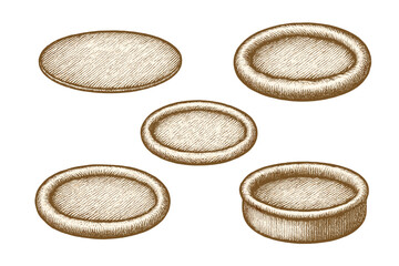 Collection of vintage engraved oval frames and labels with different depths and textures for design elements and decorative borders