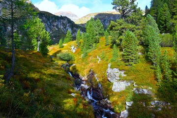 Stream flowing down a mountain landscape with austrian stone pine (Pinus cembra) trees in Sölktäler nature park in Niedere Tauern, Styria, Austria