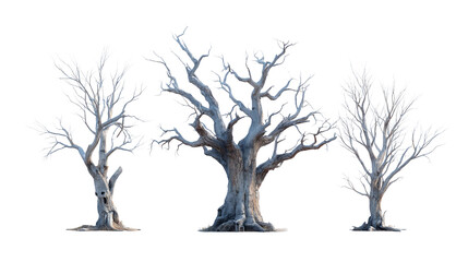 Group of 3 haunted trees, isolated on transparent background 