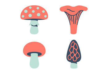 Collection of stylized mushrooms including fly agaric, chanterelle, and morel in a modern graphic style