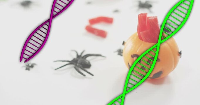Materializing purple and green DNA helices swirling to frame jack o lantern on spider strewn table
