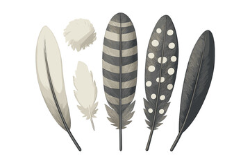 Diverse collection of natural bird feathers featuring unique shapes, sizes, and intricate decorative patterns including stripes and polka dots