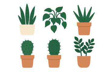 Diverse selection of green potted plants including snake plant, aloe vera, ZZ plant, and various cacti species