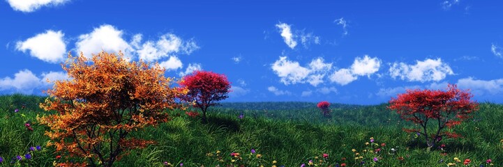 Panorama of a meadow with flowers, flowers and grass, grassy hill, blue sky with clouds and a meadow with flowers, 3D rendering