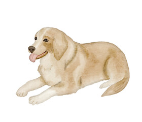 A digital watercolor illustration of a yellow Labrador or golden retriever dog lying down, ideal for pet, cozy home, and animal-themed designs.