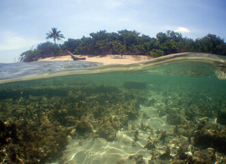 Exotic Island with Coral Reef in the Caribbean Sea