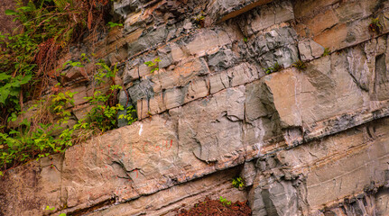 Layered rock formations with sharp cracks and natural textures. Green plants and ferns grow in between the stone crevices. Blending rugged geology with fresh vegetation. Rock texture.