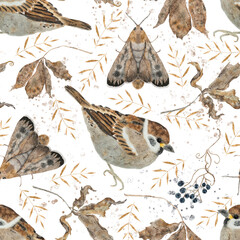 Seamless Watercolor Sparrow and Moth Pattern. Rustic Autumn Nature Design for Fabric, Wallpaper and Stationery