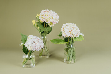 Trio of pastel hydrangea flowers in the clear vases
