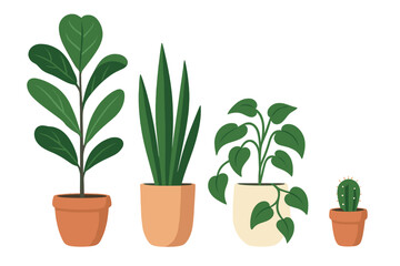 Various indoor plants in terracotta pots arranged in a row on a white background showcasing greenery and home decor