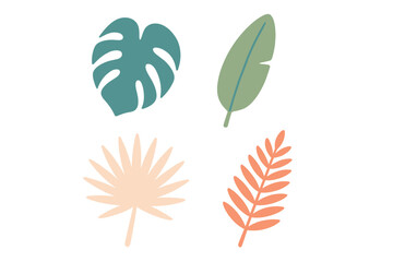 Colorful tropical leaves arranged in a creative display showcasing nature?s beauty and diversity