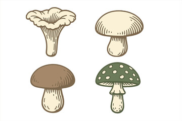 Various types of mushrooms displayed in a simple and colorful illustration suitable for educational purposes