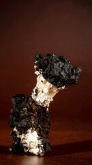 Strange fungus specimen