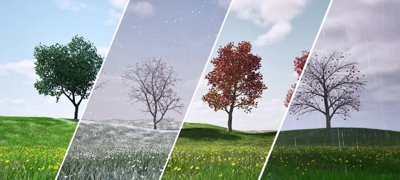 4-season climate views all in one. Spring, summer, autumn, winter