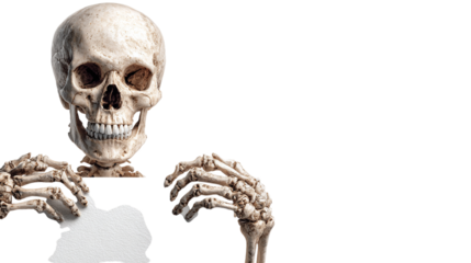 Skeleton holding party banner, isolated on transparent background 