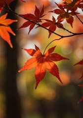 Red Maple Leaf Hanging on Branch in Autumn Forest Scene