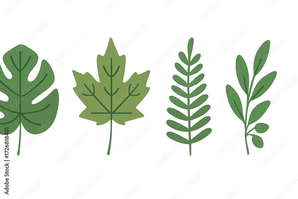 Poster various green leaves with distinct shapes and textures arranged in a row on a white background