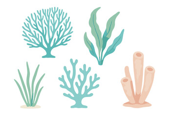 Colorful coral and seaweed illustrations showcasing diverse marine life forms in a vibrant underwater scene