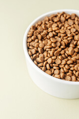 White bowl of dry dog food on beige background
