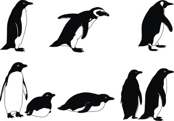 Penguin bird vector illustration set, standing, walking, and lying poses, black and white shapes, nature artwork for wildlife, decor, and design