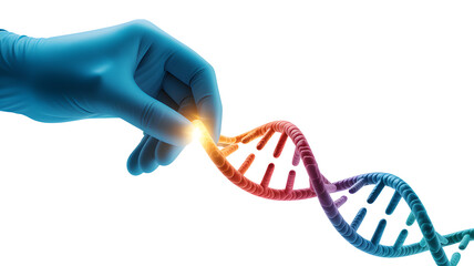 Hand in blue glove manipulating glowing D N A helix structure isolated on a transparent background image