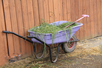 A Wheelbarrow Full of Grass Feed at a Horse Stable Yard.