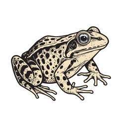 Vector depiction shows a frog with detailed textures, rendered in brown and black colors, capturing realism, simplicity, and natural environmental aesthetic style.