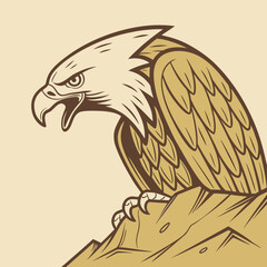 eagle vector illustration