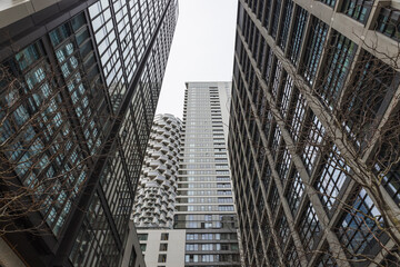 Modern skyscrapers forming an urban canyon, glass office towers looking upward