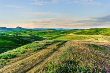 beautiful green ristic landscape of spring hills with grassland fields covered with young fresh grass and countryside road leading to a cloudy sunset