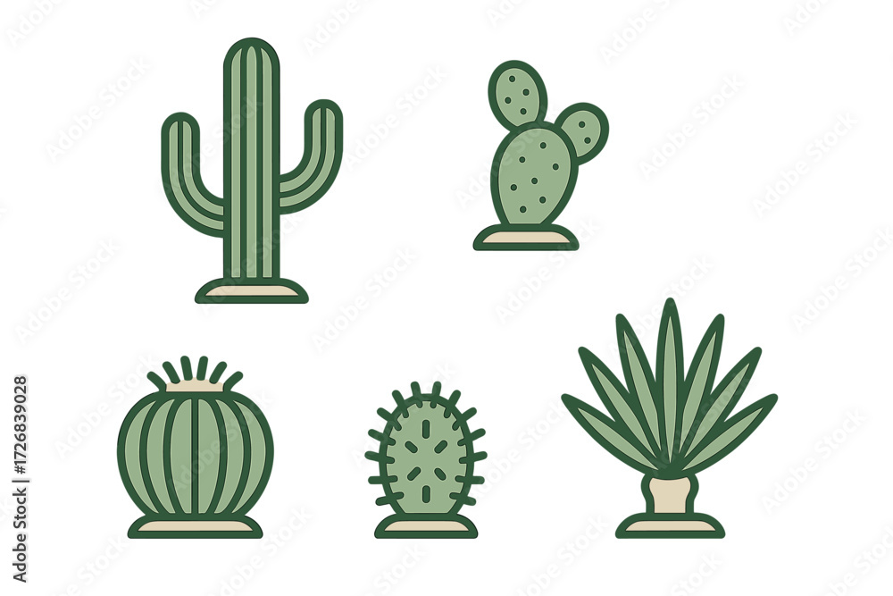 Poster various types of cacti and succulents displayed on a simple white background showcasing their unique