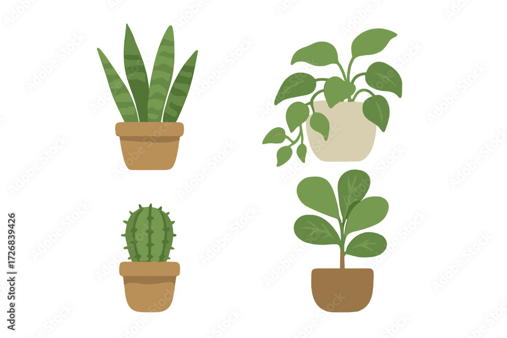 Poster different types of indoor plants in simple pots displayed on a white background