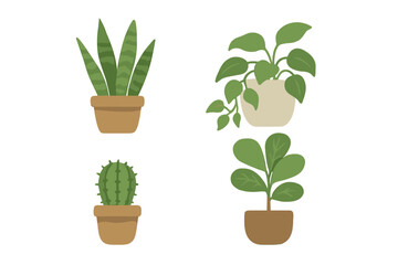 Different types of indoor plants in simple pots displayed on a white background