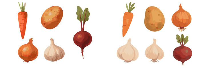 Freshly harvested vegetables displayed in a neat arrangement on a light background