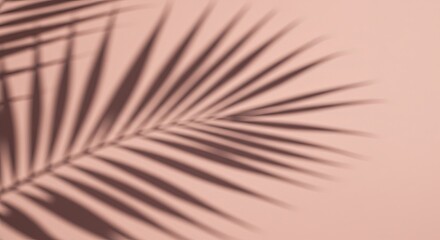 Fototapeta premium Soft palm leaf shadow overlay creates a serene, natural backdrop for modern design
