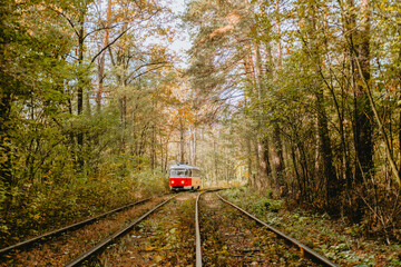 Red train travels through a forest on winding tracks during autumn