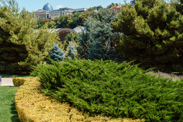 Lush green landscape with carefully manicured shrubs and trees in a city park on a sunny day