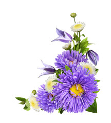 Purple flowers of asters and clematis in a corner arrangement isolated on white or transparent background