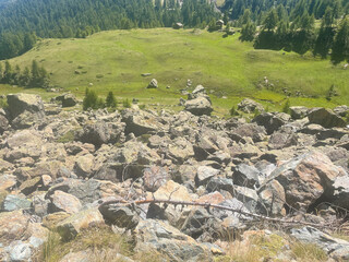 Rugged alpine terrain in the Mont Avic Natural Park, located in the Aosta Valley, Italy. The foreground features jagged rocks and sparse vegetation, including coniferous trees and small bushes.