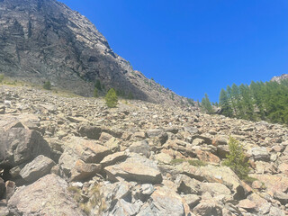 Rugged alpine terrain in the Mont Avic Natural Park, located in the Aosta Valley, Italy. The foreground features jagged rocks and sparse vegetation, including coniferous trees and small bushes.