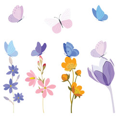 Summer meadow flowers. Poppy flowers. Pink, red, blue, green colors. Flower illustrations, summer field, butterflies. Herbal decoration, romantic wildflowers, kitchen towel, tablecloth, dress for girl