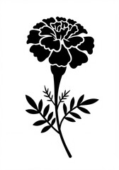 Flower marigold vector 